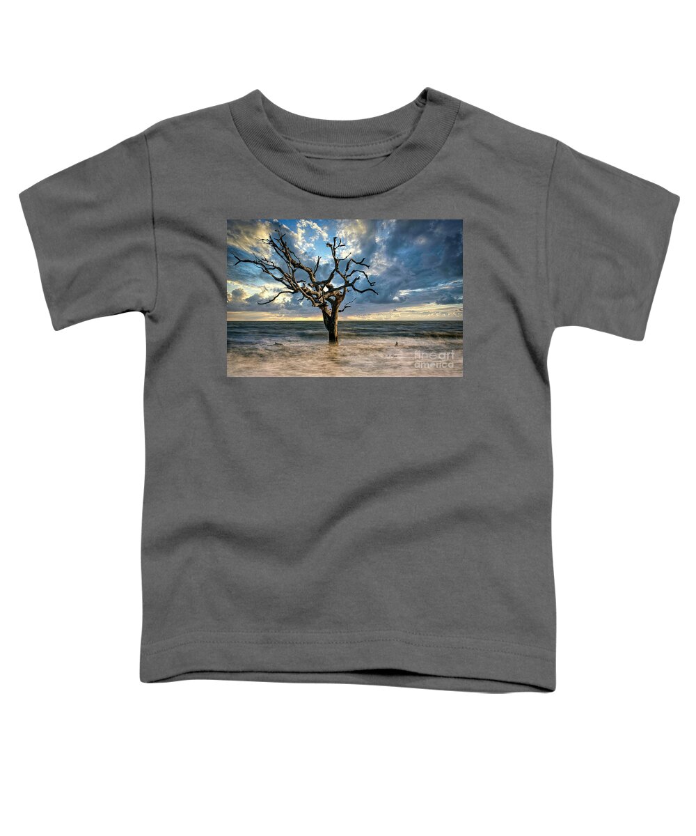 Nature Toddler T-Shirt featuring the photograph Nature's Artistry by DB Hayes