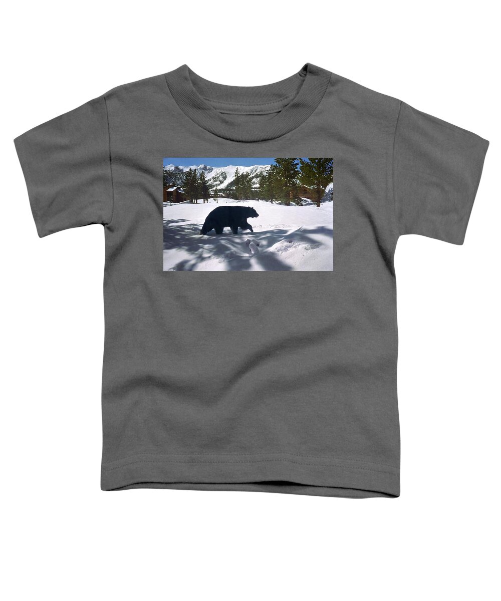 Tracks Toddler T-Shirt featuring the photograph Neighborhood Bear, Mammoth Lakes, Making Tracks by Bonnie Colgan
