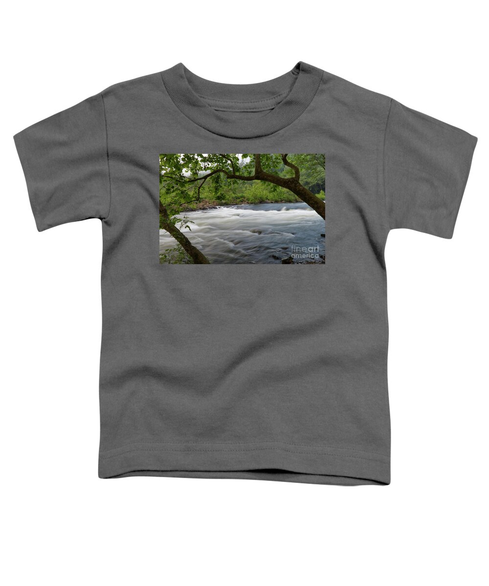 Nemo Rapids Toddler T-Shirt featuring the photograph Nemo Rapids 12 by Phil Perkins