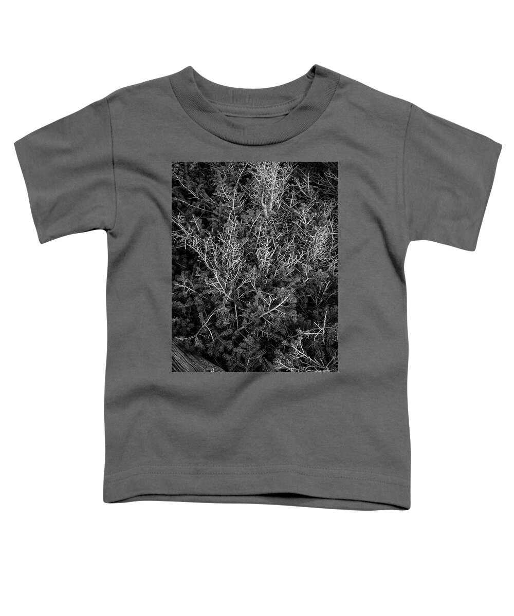 Ancient Sentinels Toddler T-Shirt featuring the photograph New Generation by Maresa Pryor-Luzier