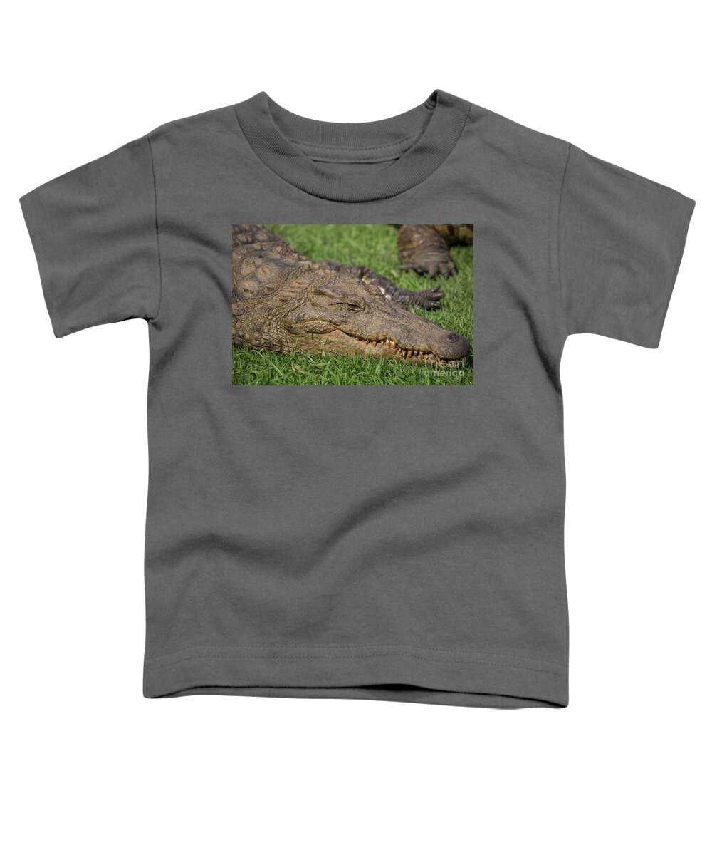 Nile Crocodile Toddler T-Shirt featuring the photograph Nile Crocodile by Eva Lechner