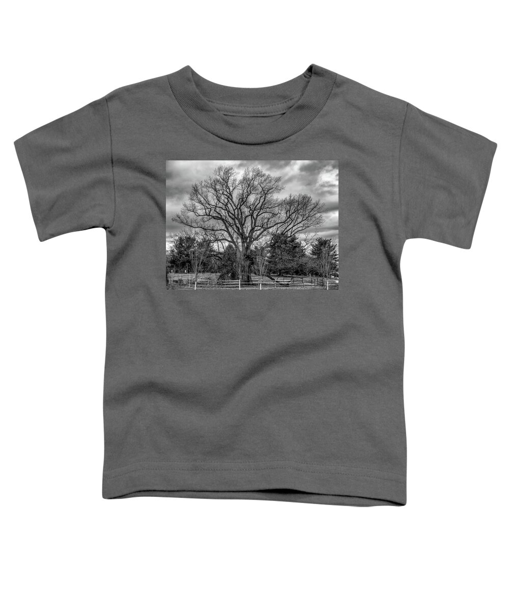 Nature Alone Toddler T-Shirt featuring the photograph NJ Champion The Brearley Oak by Louis Dallara