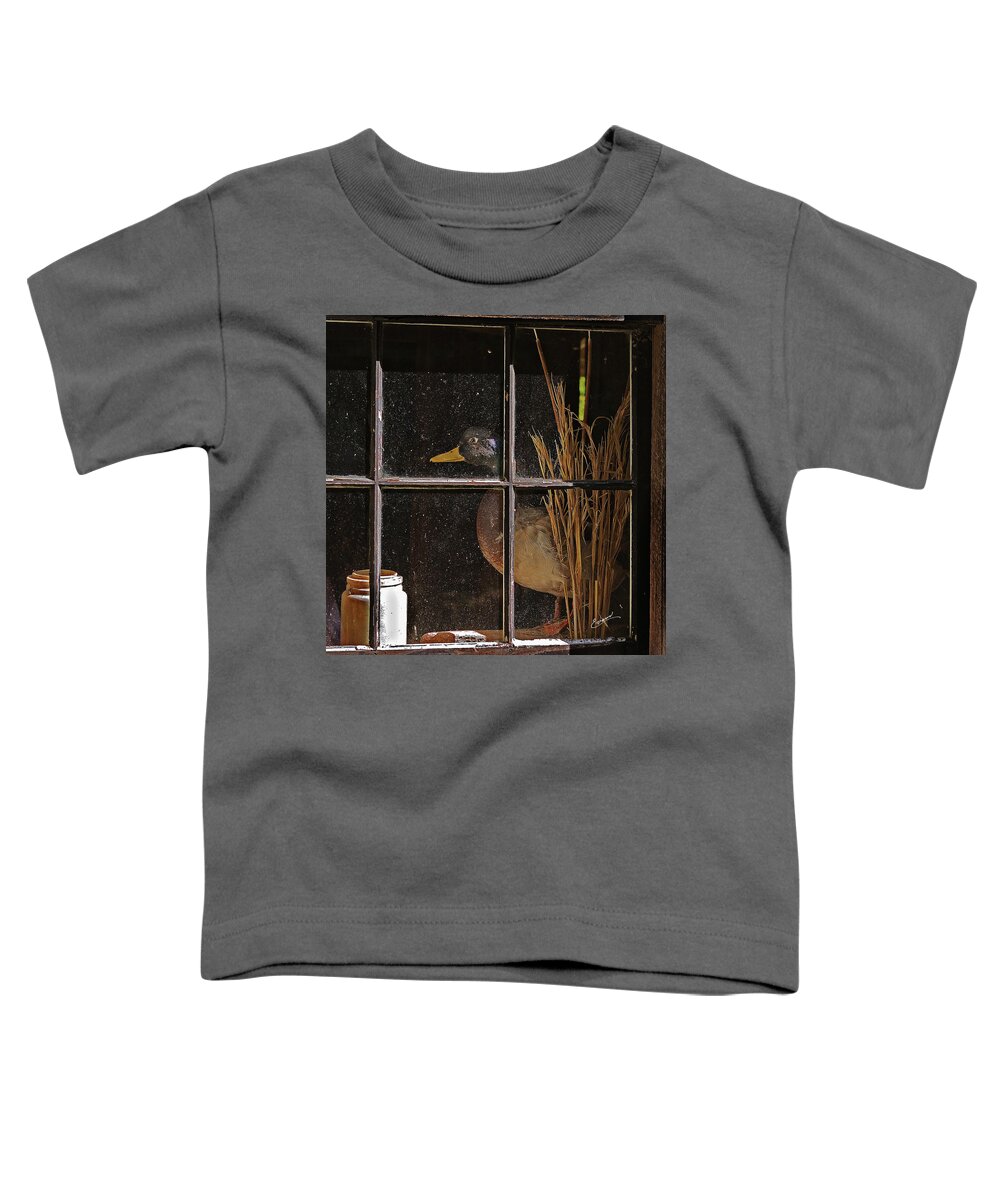 Log Cabin Toddler T-Shirt featuring the photograph Old Cabin Window by Randall Evans