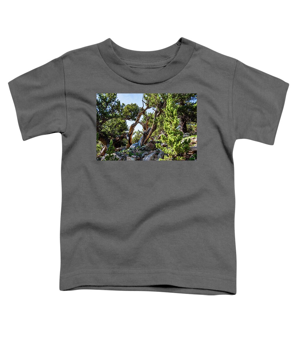Trunk Toddler T-Shirt featuring the photograph Old Pine by Nathan Wasylewski