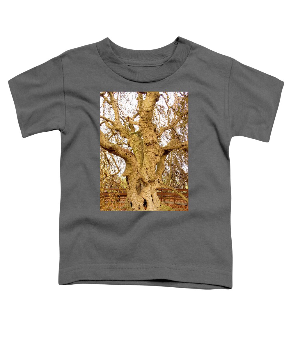 Old Tree Wood Fence Autumn Toddler T-Shirt featuring the photograph Old Tree by John Linnemeyer