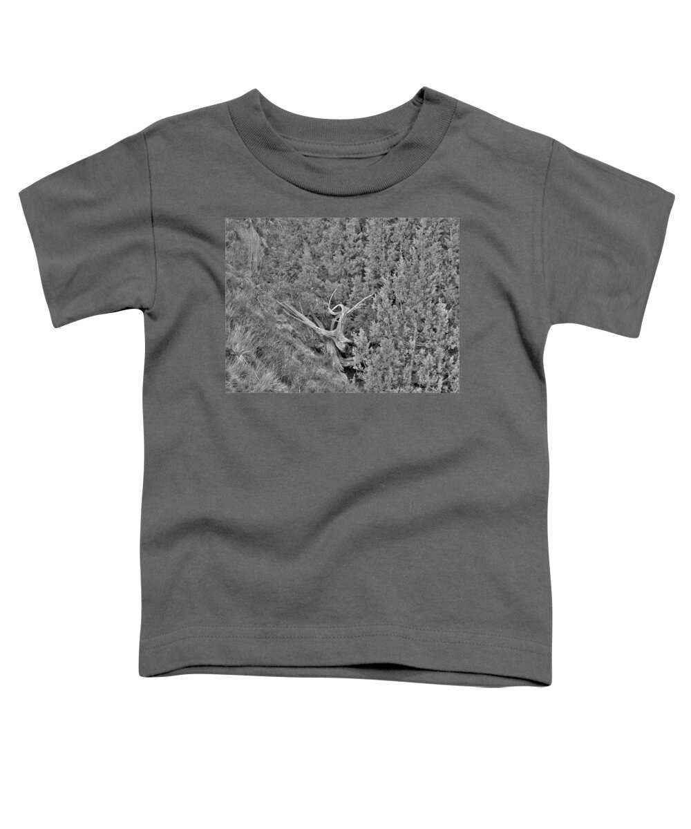 Tree Toddler T-Shirt featuring the photograph Old Twisted Juniper by Amanda R Wright