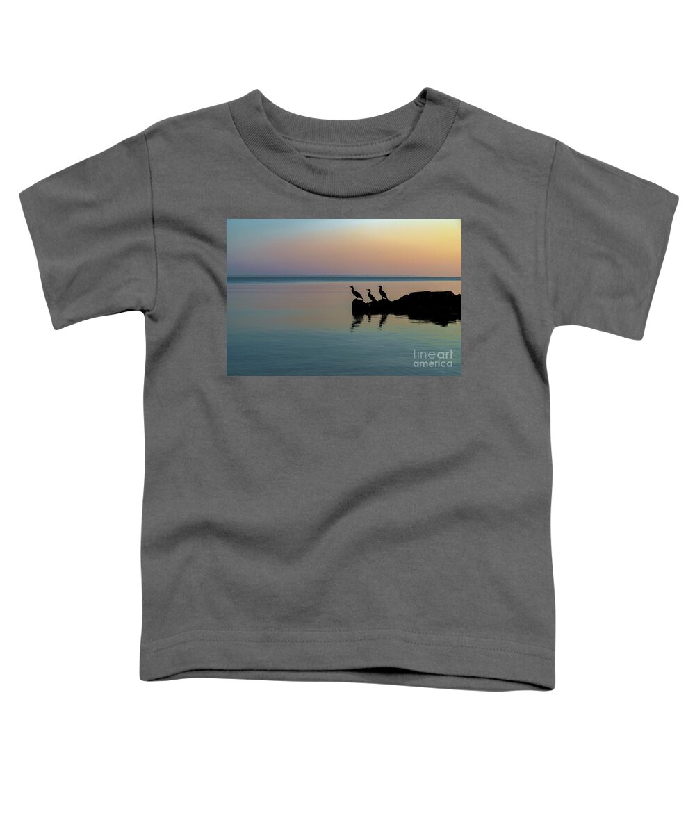 Birds Toddler T-Shirt featuring the photograph On the lookout by Daniel M Walsh