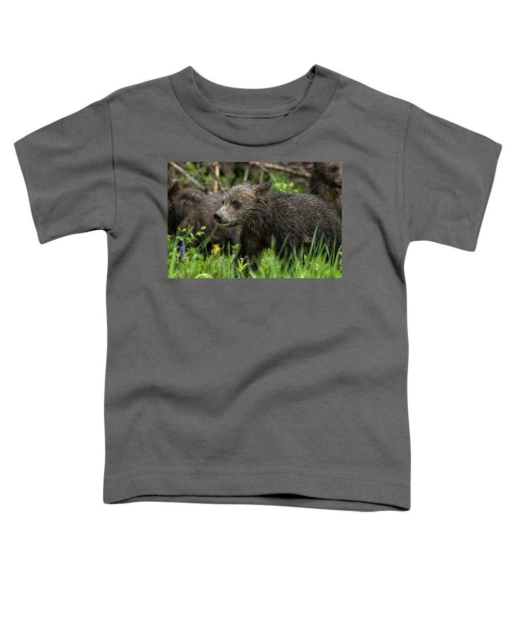 Grizzly Bear Toddler T-Shirt featuring the photograph One Wet Little Bear Cub - Grizzly 399's Cub by Belinda Greb