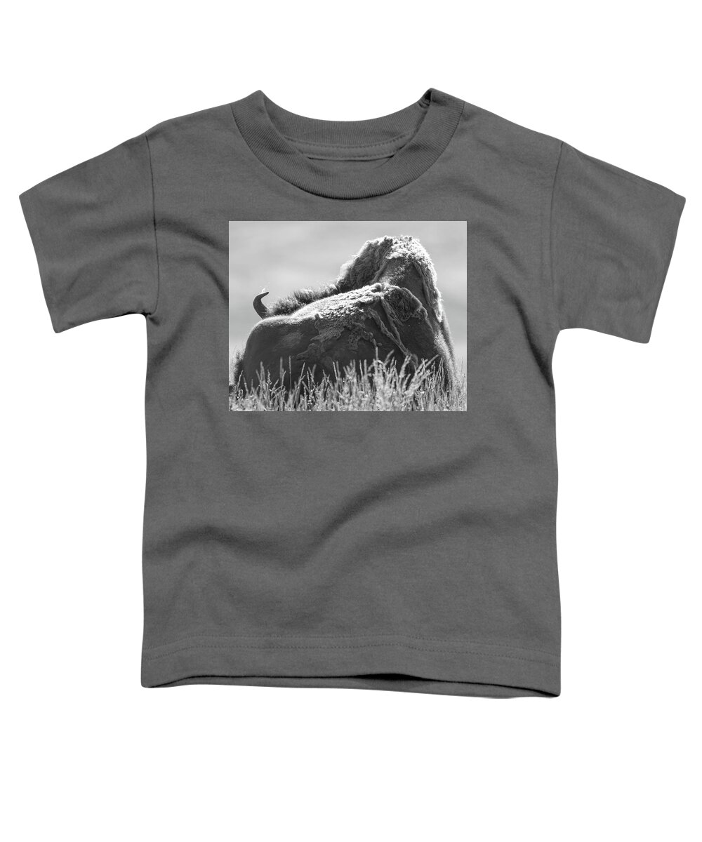 Bison Toddler T-Shirt featuring the photograph One With the Earth by Mary Hone