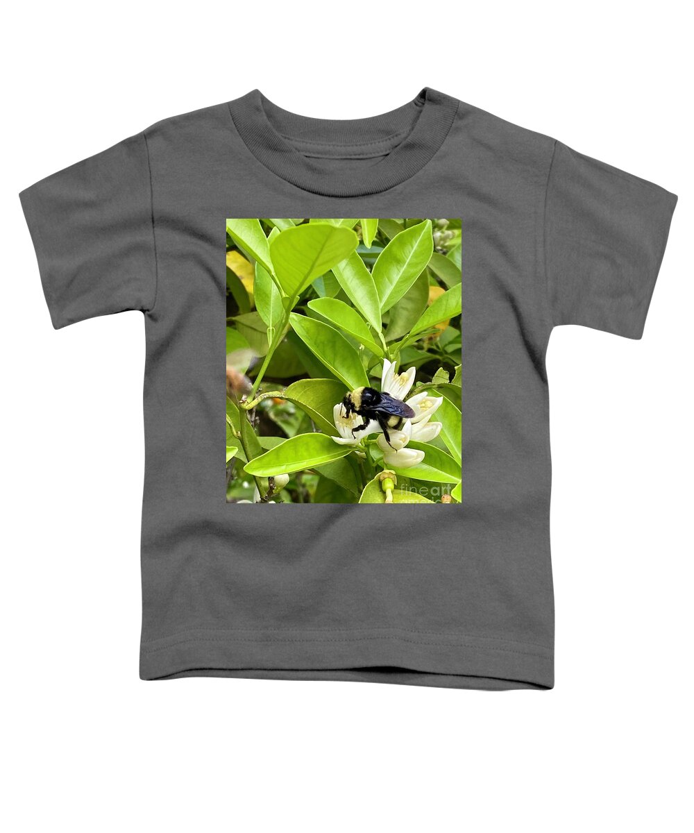 Photography Toddler T-Shirt featuring the photograph Orange Blossom Delight by Sean Griffin