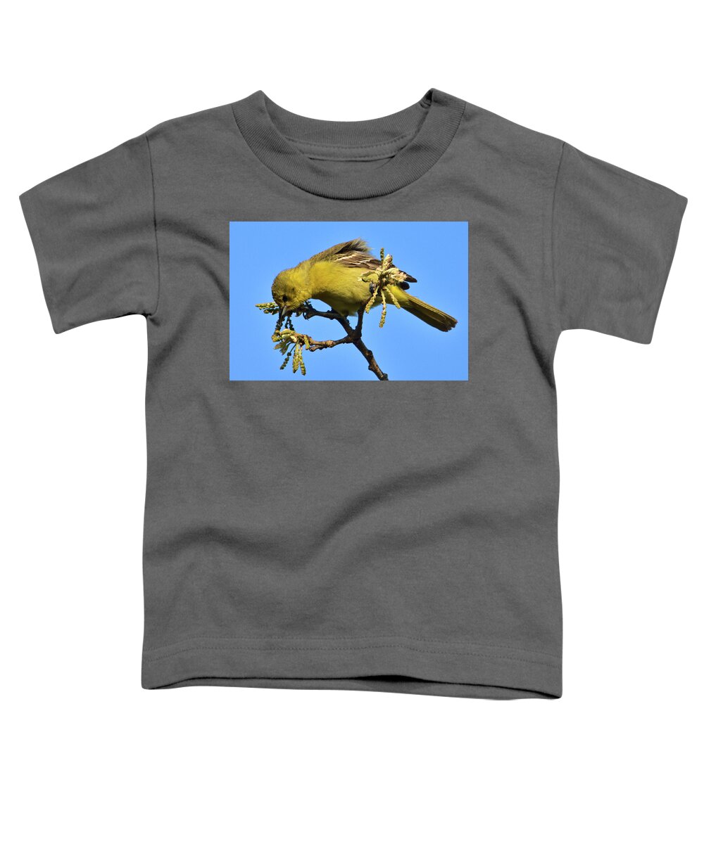 Bird Toddler T-Shirt featuring the photograph Orchard Oriole at Patrick Marsh by Chris Pappathopoulos
