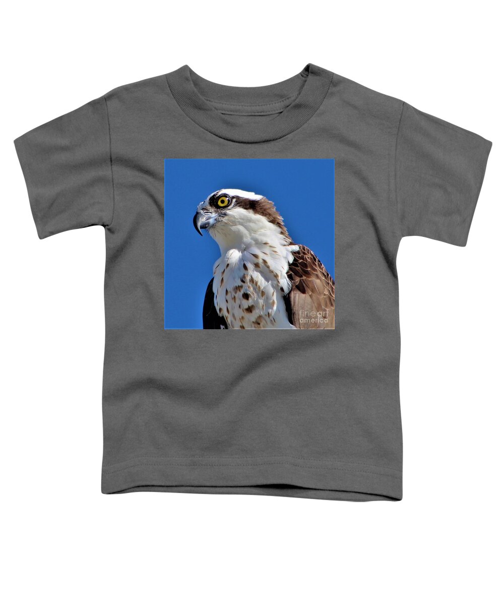 Osprey Toddler T-Shirt featuring the photograph Osprey by Joanne Carey
