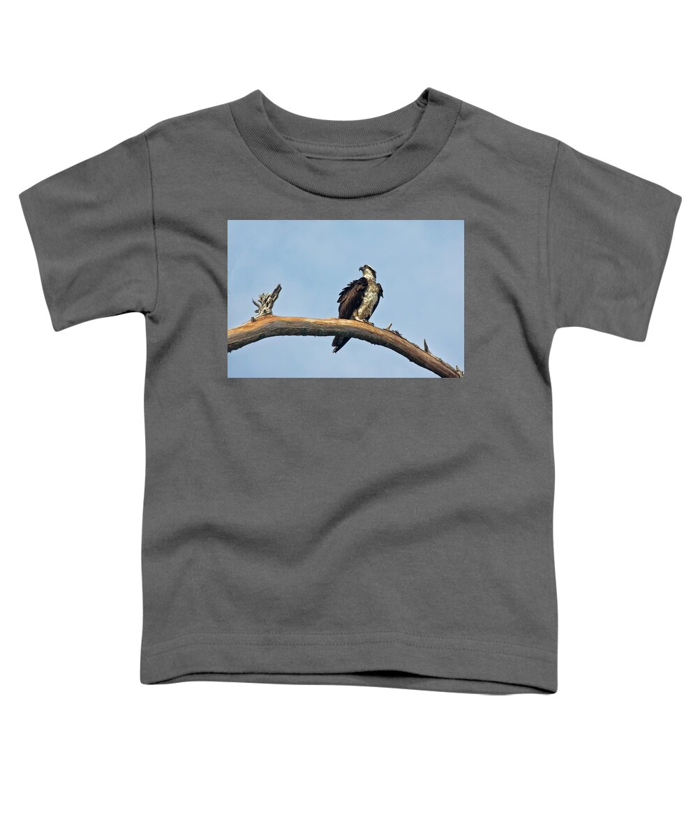 Osprey Toddler T-Shirt featuring the photograph Osprey Perched Above White Oak River in the Croatan by Bob Decker