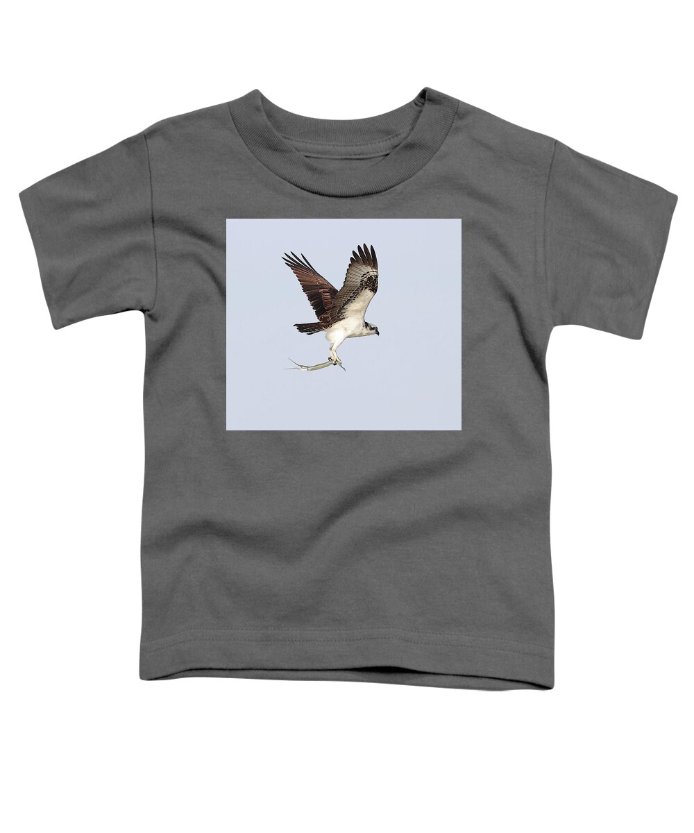 Osprey Toddler T-Shirt featuring the photograph Osprey with a Needle Fish 3 by Mingming Jiang