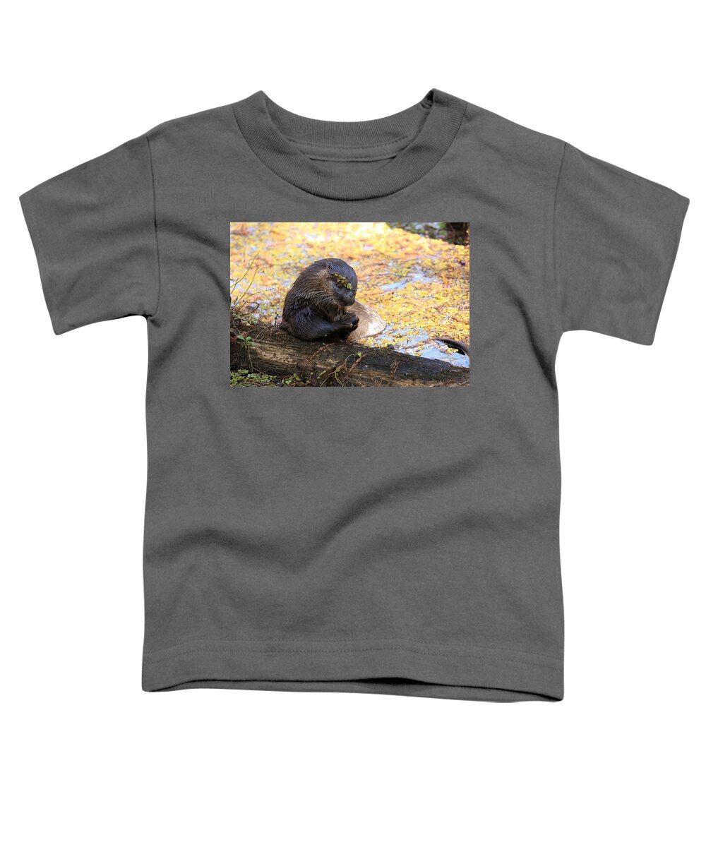 Otter Toddler T-Shirt featuring the photograph Otter Eating Fish by Mingming Jiang