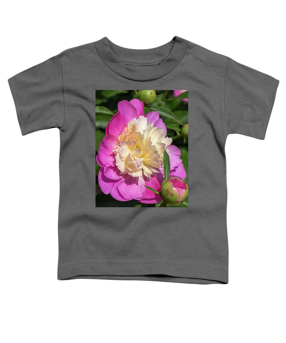 Flower Toddler T-Shirt featuring the photograph Paeonia Bowl of Beauty by Dawn Cavalieri