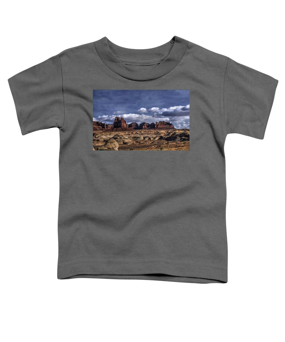 Arches National Park Toddler T-Shirt featuring the photograph Painted Sky Over the Petrified Dunes by Wayne King