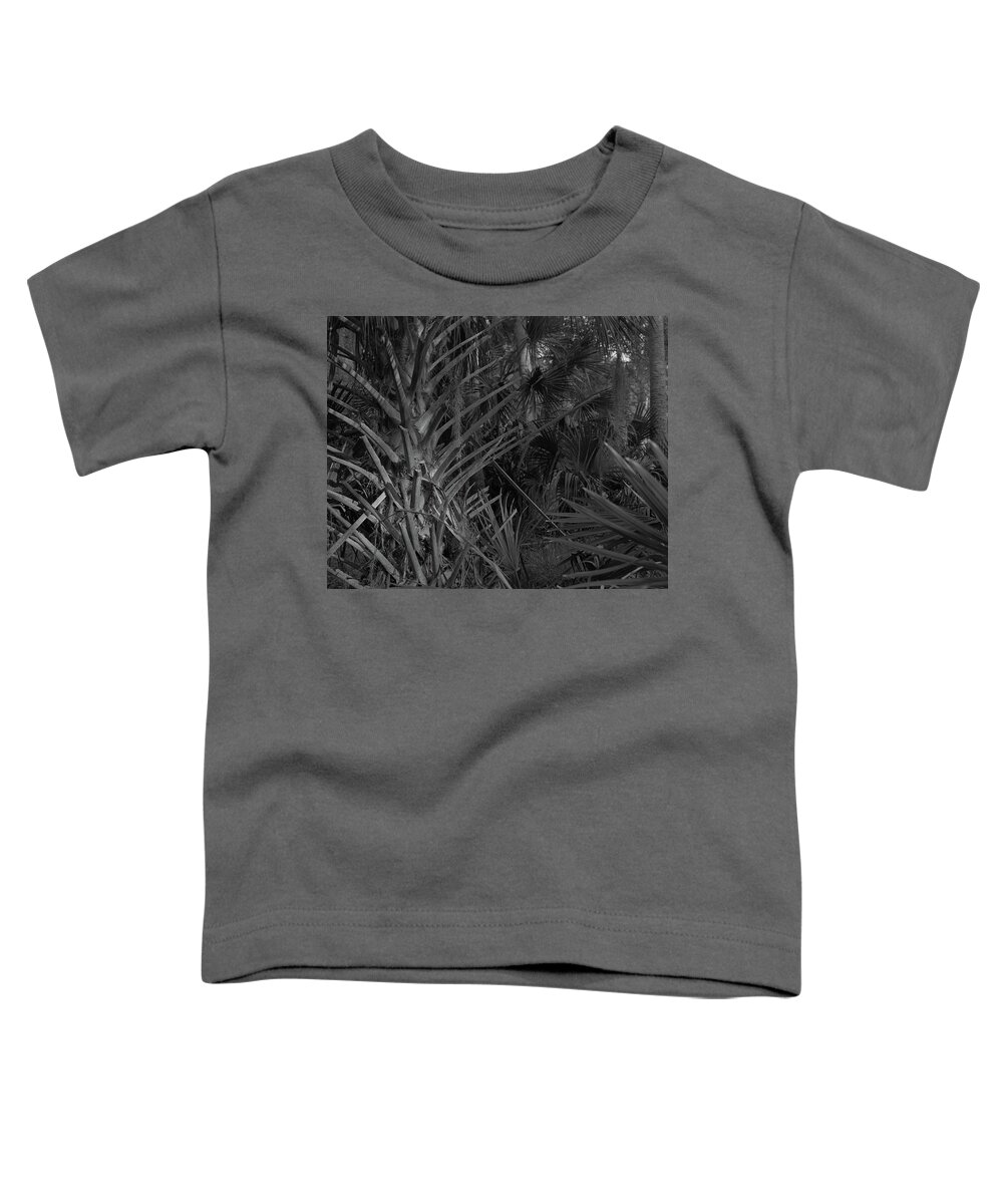 Princess Place Preserve Toddler T-Shirt featuring the photograph Palm Forest, Princess Place Preserve, 2007 by John Simmons