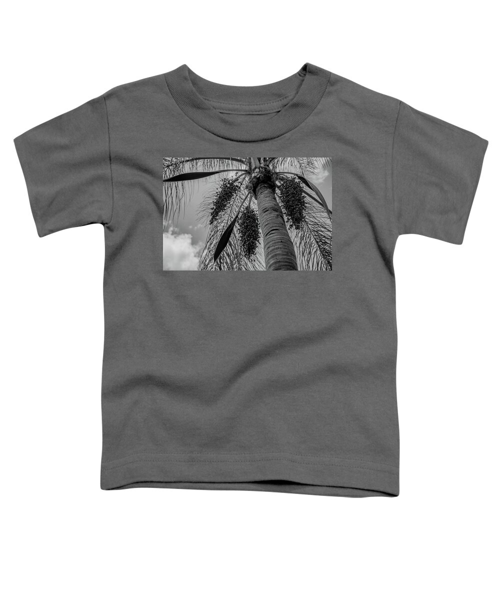 Palm Toddler T-Shirt featuring the photograph Palm with fruit by Alan Goldberg