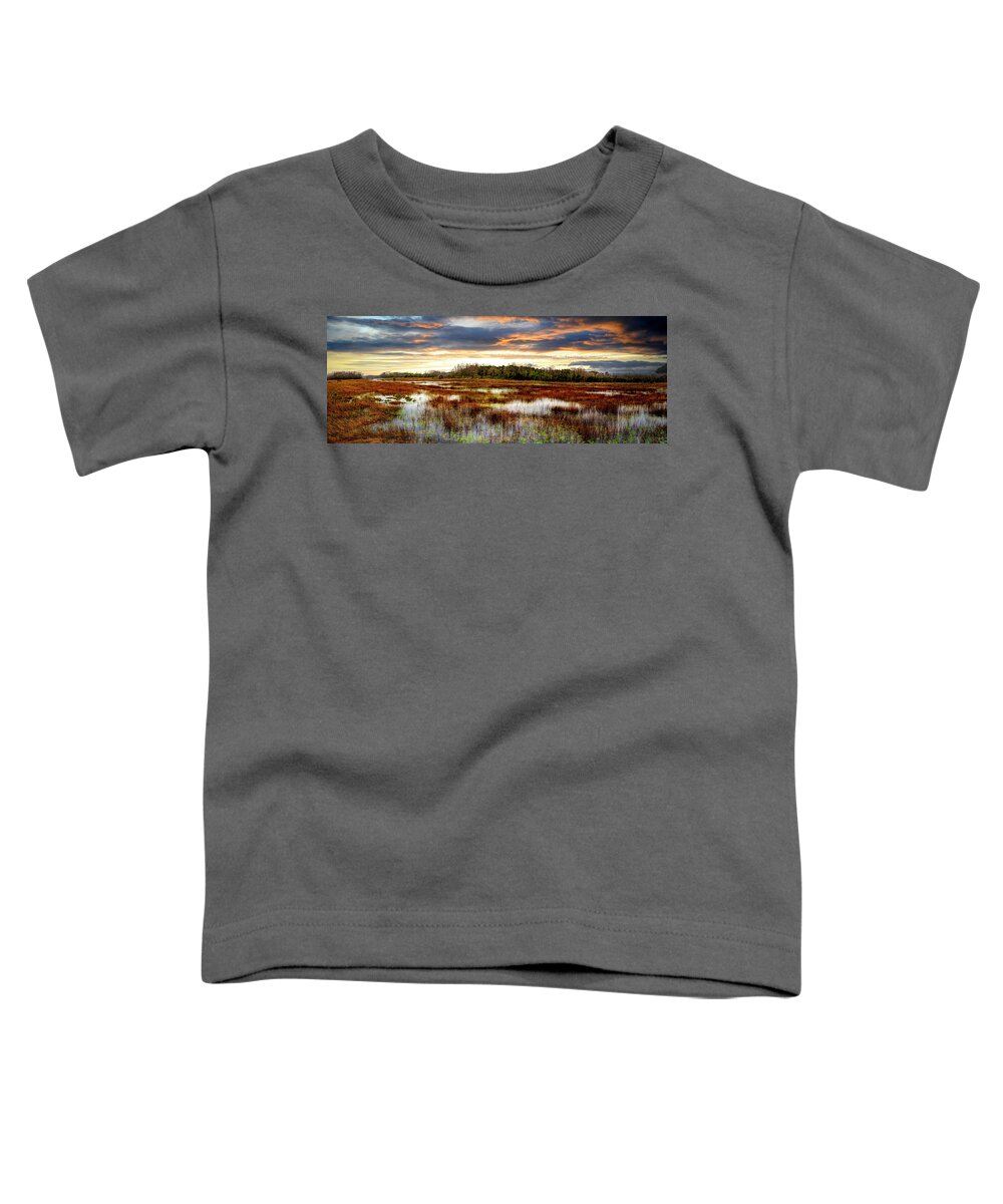 Clouds Toddler T-Shirt featuring the photograph Panorama Overlooking the Marsh by Debra and Dave Vanderlaan