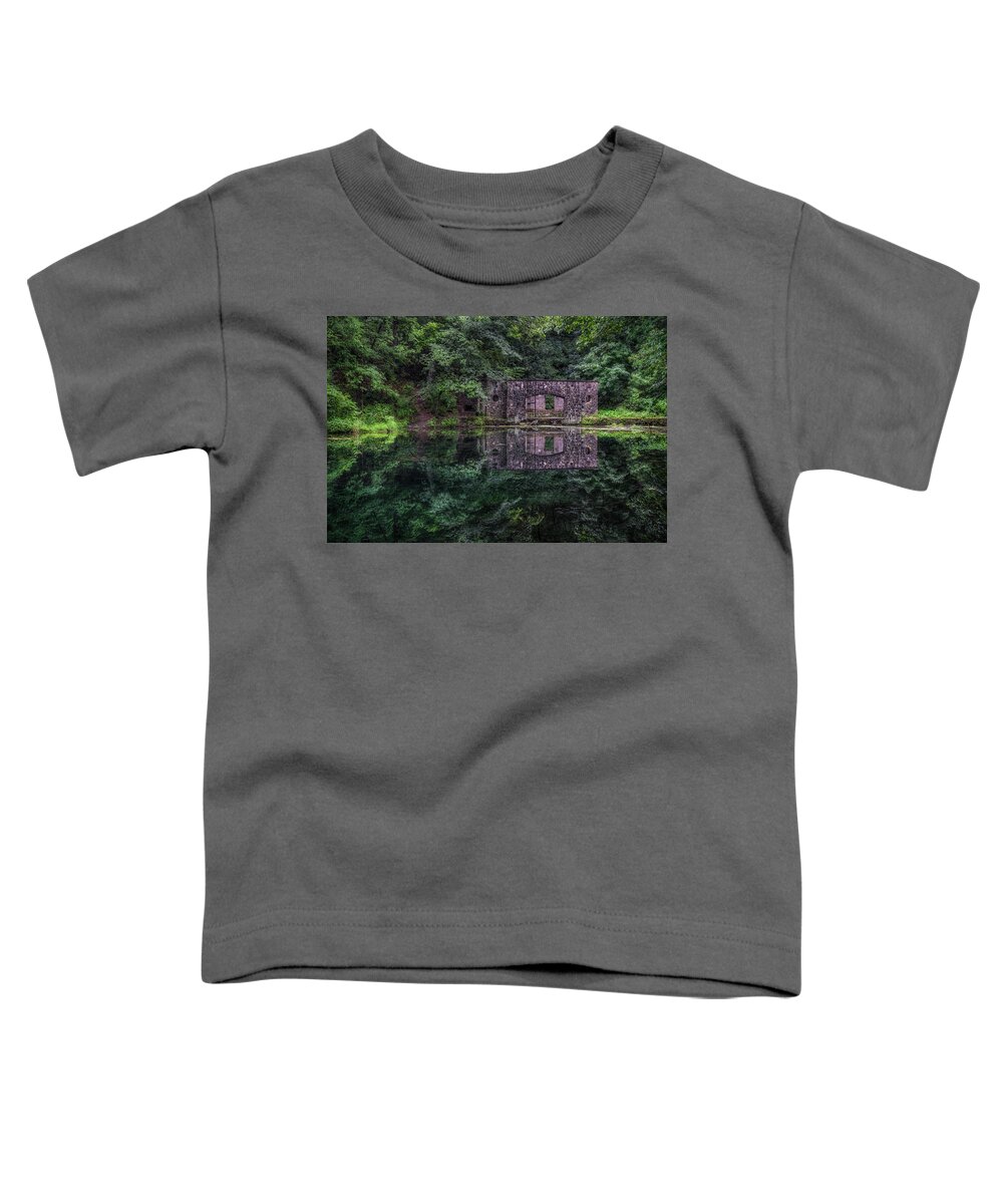 Paradise Springs Toddler T-Shirt featuring the photograph Paradise Reflections by Brad Bellisle
