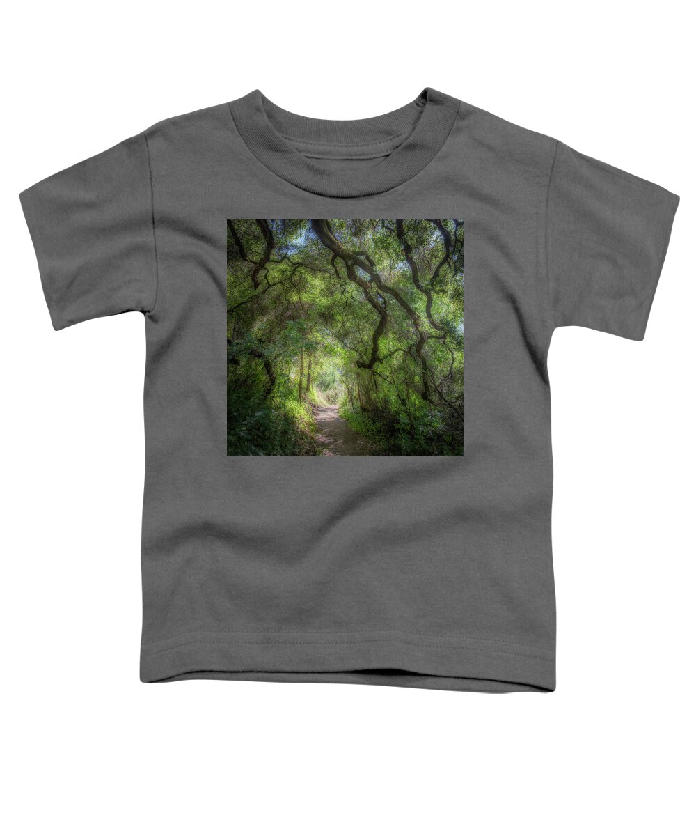 Pathway Toddler T-Shirt featuring the photograph Pathway near Phoenix Lake by Donald Kinney