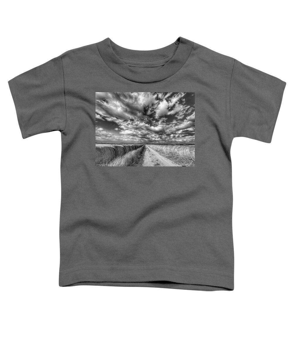 Clouds Toddler T-Shirt featuring the photograph Pathway to the Clouds by Pam Rendall
