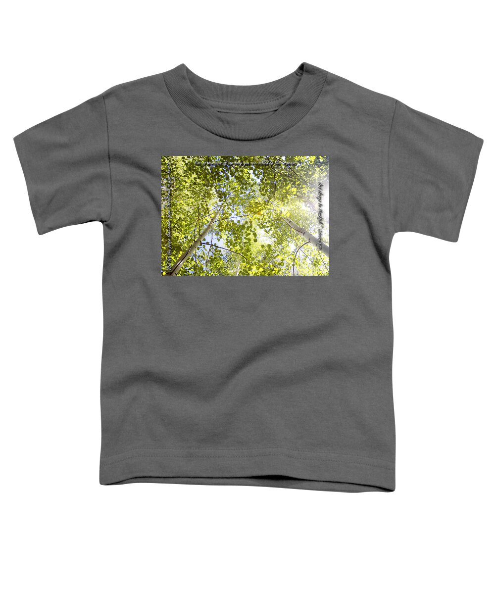 Christian Toddler T-Shirt featuring the photograph Peace And Thankfulness Among Aspens by Lincoln Rogers