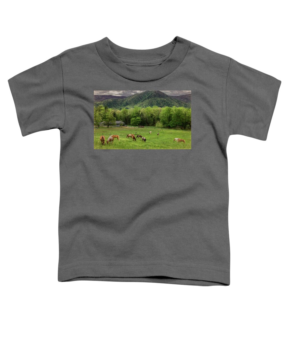 Great Smoky Mountains National Park Toddler T-Shirt featuring the photograph Peace in the Smokies, Painterly by Marcy Wielfaert