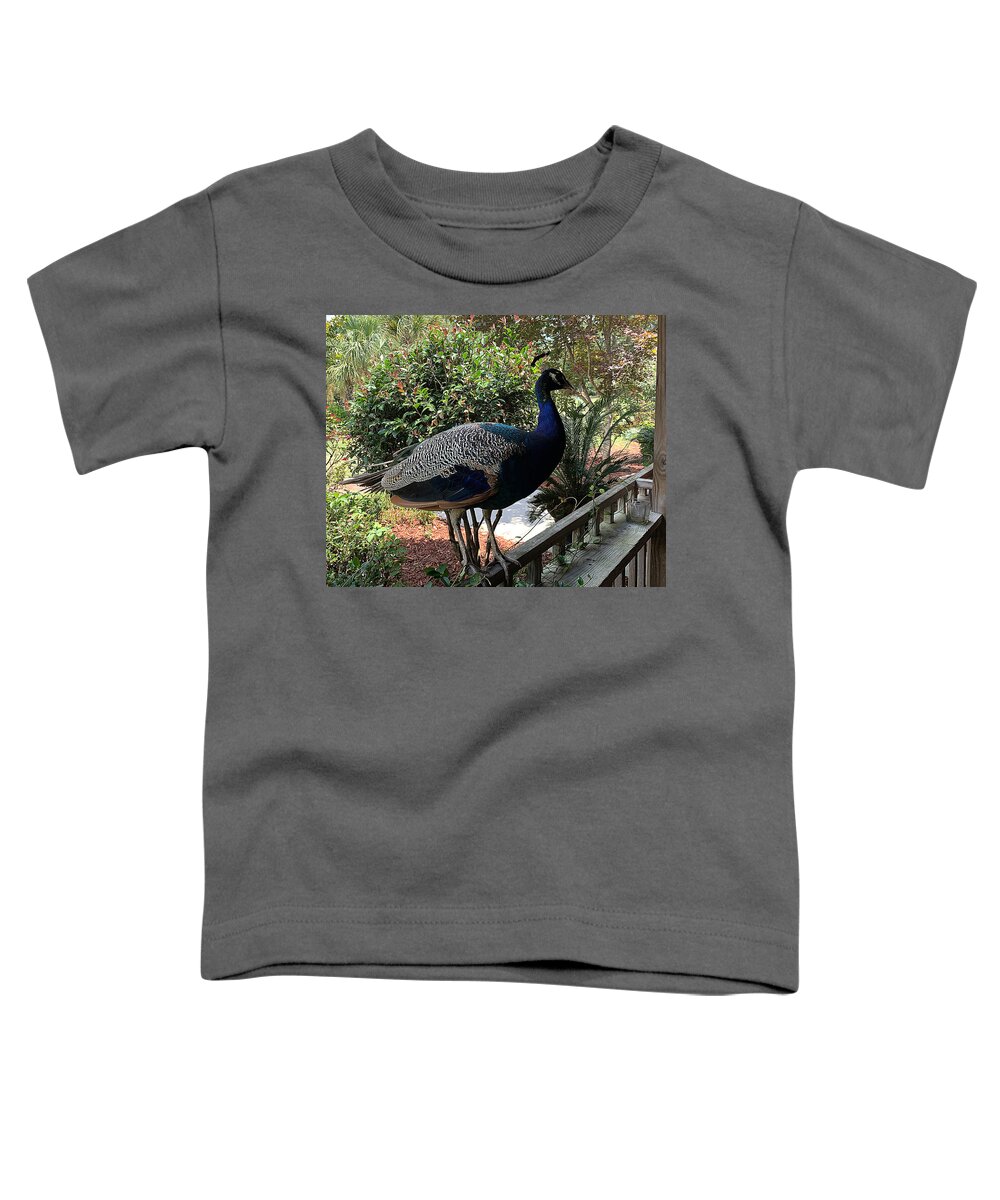 Nc Toddler T-Shirt featuring the photograph Peacock Hostess by Lee Darnell