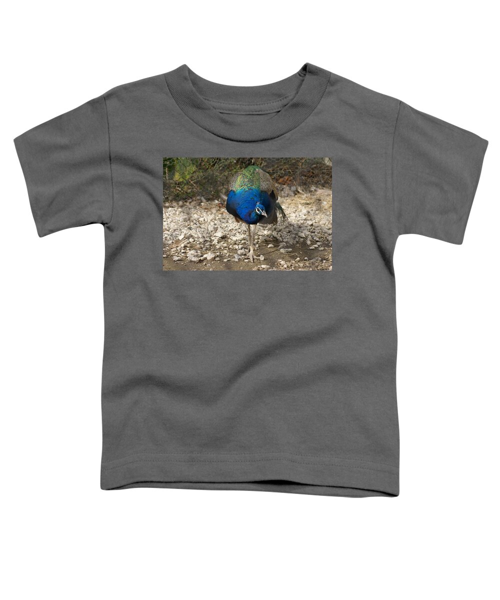  Toddler T-Shirt featuring the photograph Peacock Strut by Heather E Harman