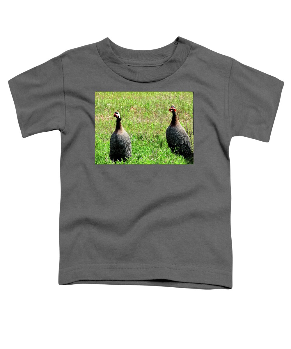 Pearl Guinea Keets Toddler T-Shirt featuring the photograph Pearl Guinea Keets by Amy Hosp