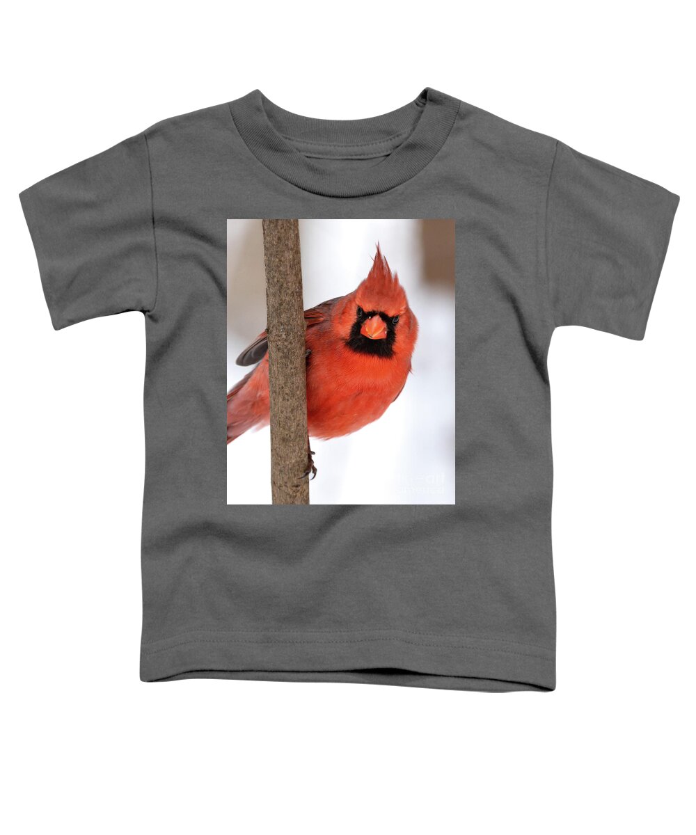 Cardinal Toddler T-Shirt featuring the photograph Peekaboo by Alyssa Tumale