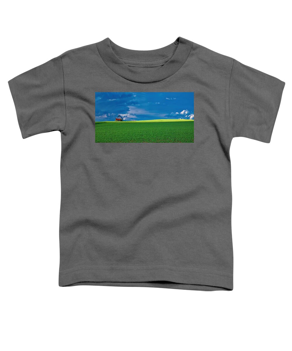 Canada Toddler T-Shirt featuring the photograph Pei Storm by John Babis