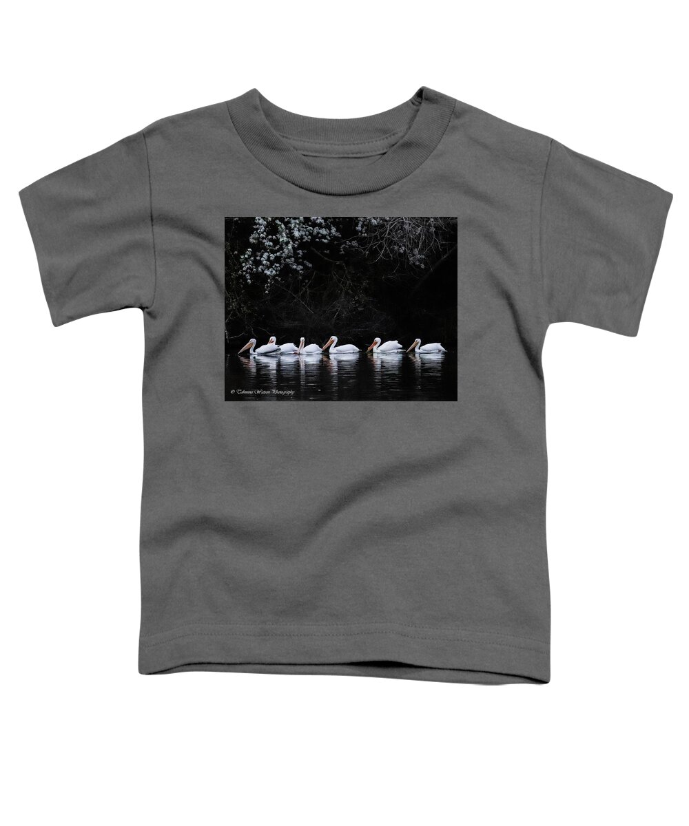 Pelicans Toddler T-Shirt featuring the photograph Pelican Serenity by Tahmina Watson