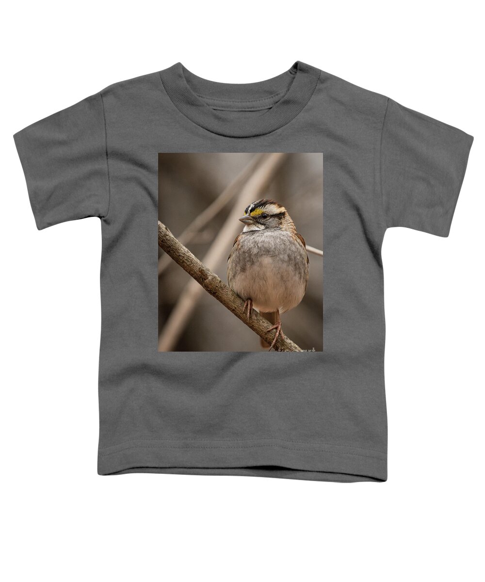 Sparrow Toddler T-Shirt featuring the photograph Perched III by Alyssa Tumale