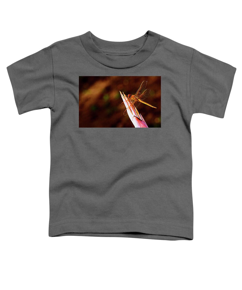 Dragonfly Toddler T-Shirt featuring the photograph Perching Dragon by Bill Barber
