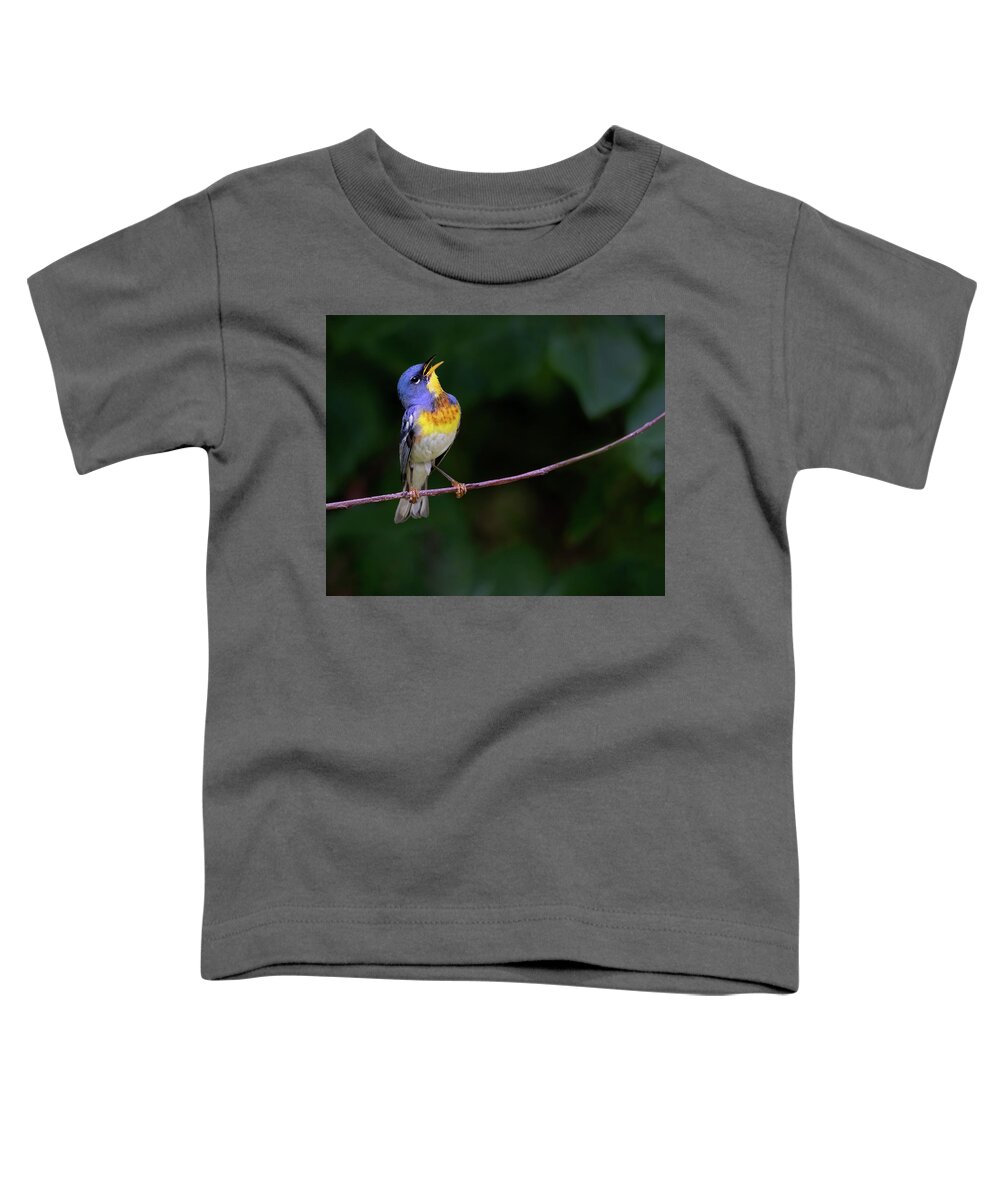 Bird Toddler T-Shirt featuring the photograph Perula Melodies by Art Cole