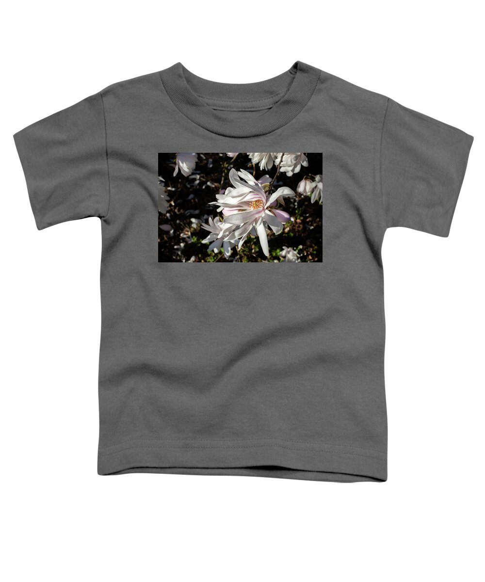 Magnolia Toddler T-Shirt featuring the photograph Petals in the Breeze by Rose Guinther