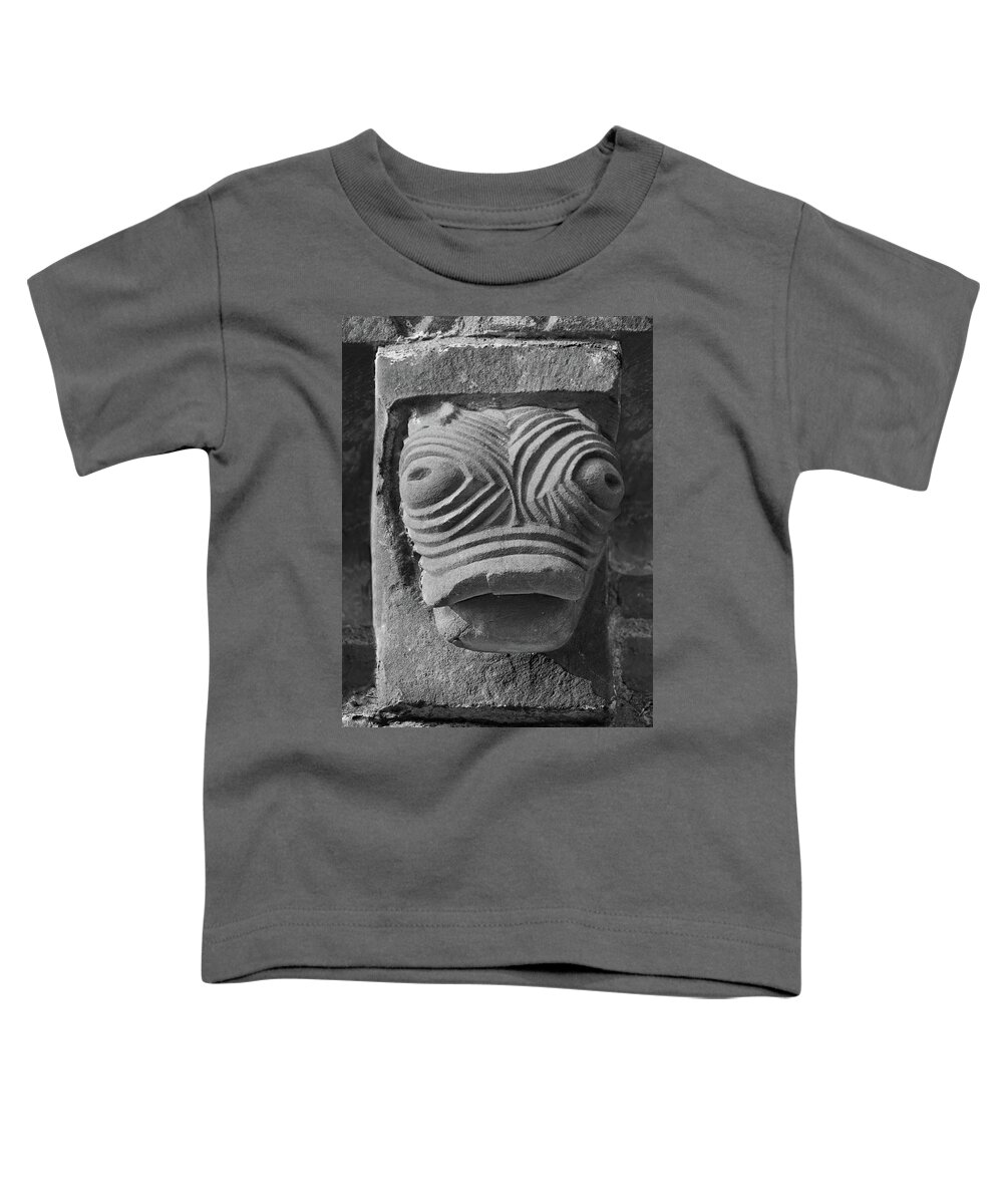 Romanesque Toddler T-Shirt featuring the sculpture The Stone Bestiary - Photo of Norman Romanesque relief sculptures from Kilpec #4 by Paul E Williams