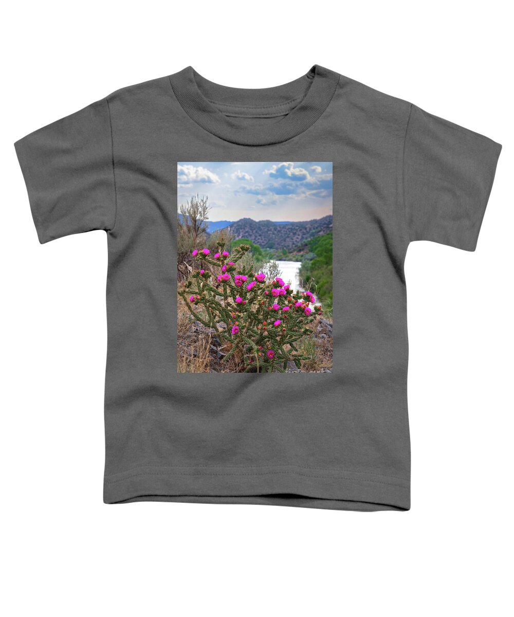 Taos Toddler T-Shirt featuring the photograph Pilar Cactus 1 by Elijah Rael