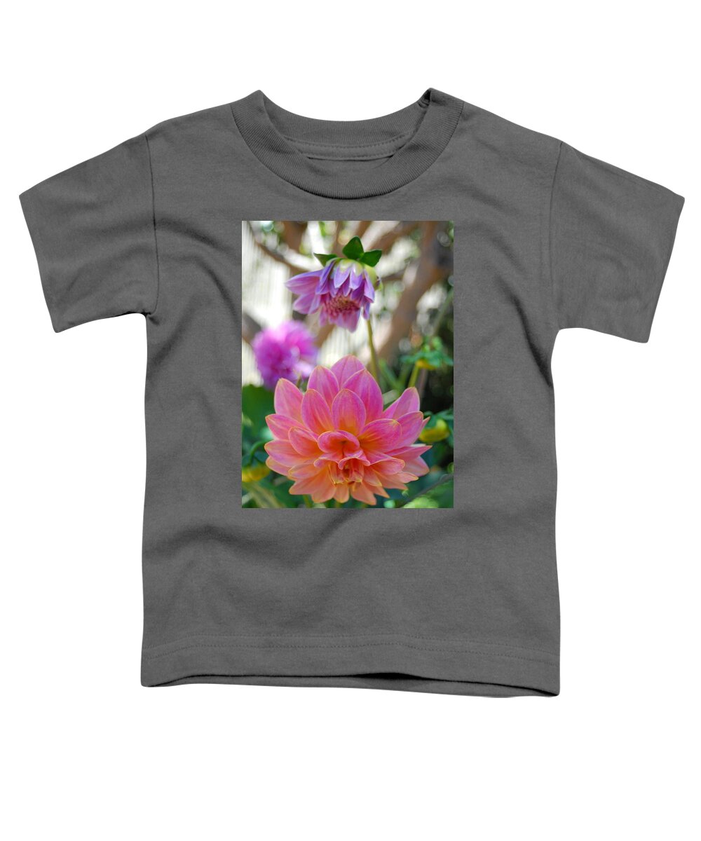 Dahlia Toddler T-Shirt featuring the photograph Pink and Yellow Dahlias 1 by Amy Fose