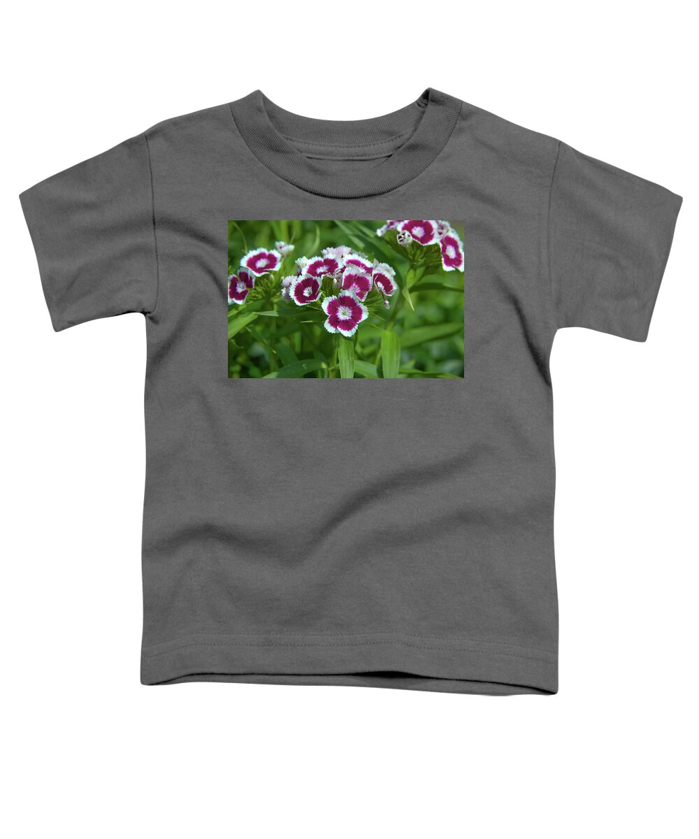 Bloom Toddler T-Shirt featuring the photograph Pink Dianthus by Loyd Towe Photography