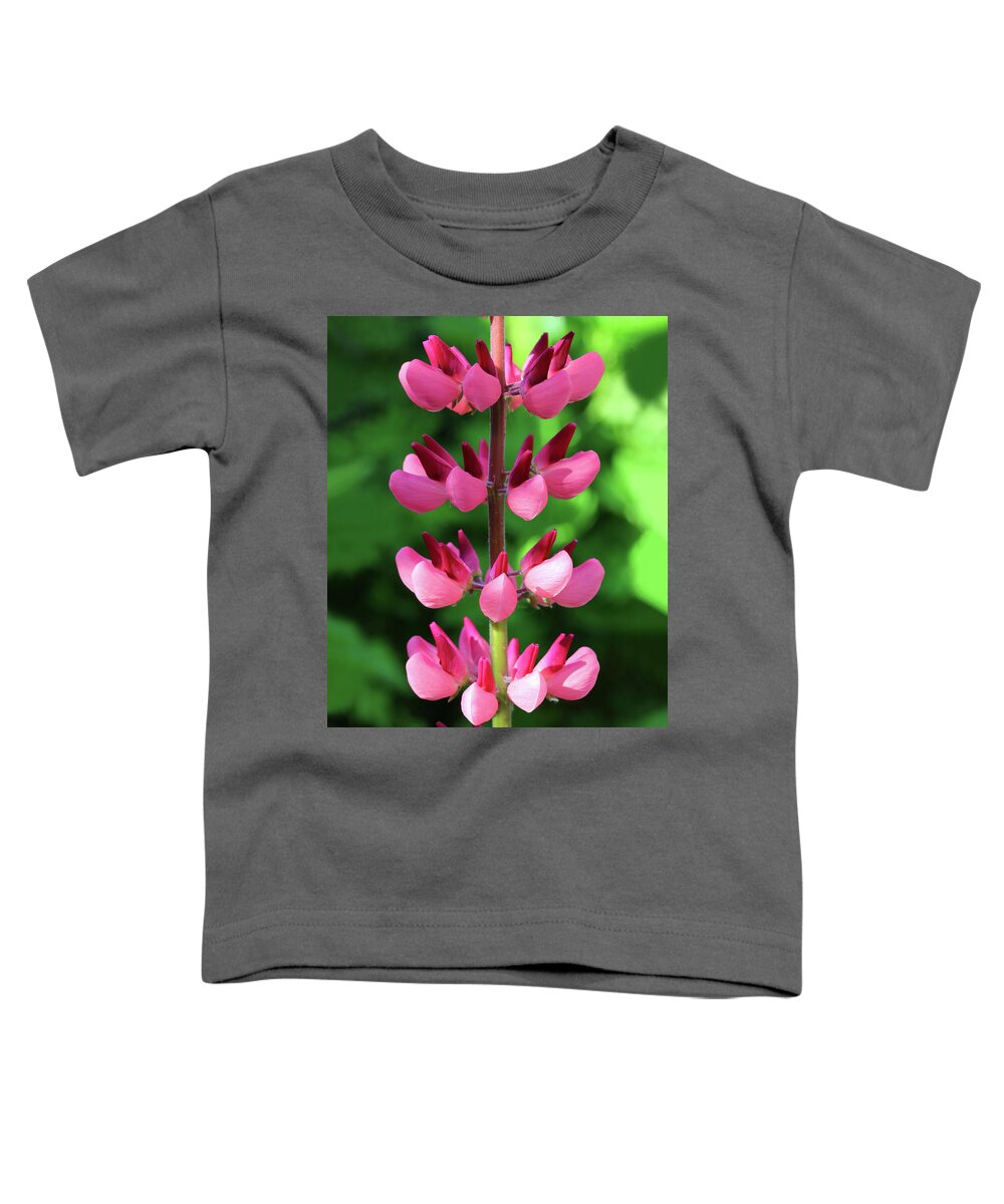 Lupine Toddler T-Shirt featuring the photograph Pink Lupine Flower Macro by Mikhail Kokhanchikov