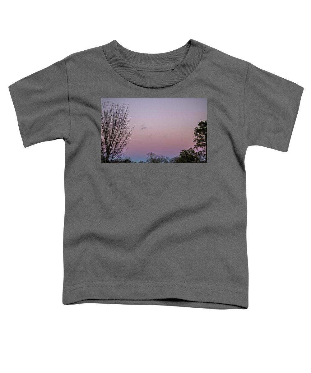 Sunset Toddler T-Shirt featuring the photograph Pink Sunset by Rick Nelson