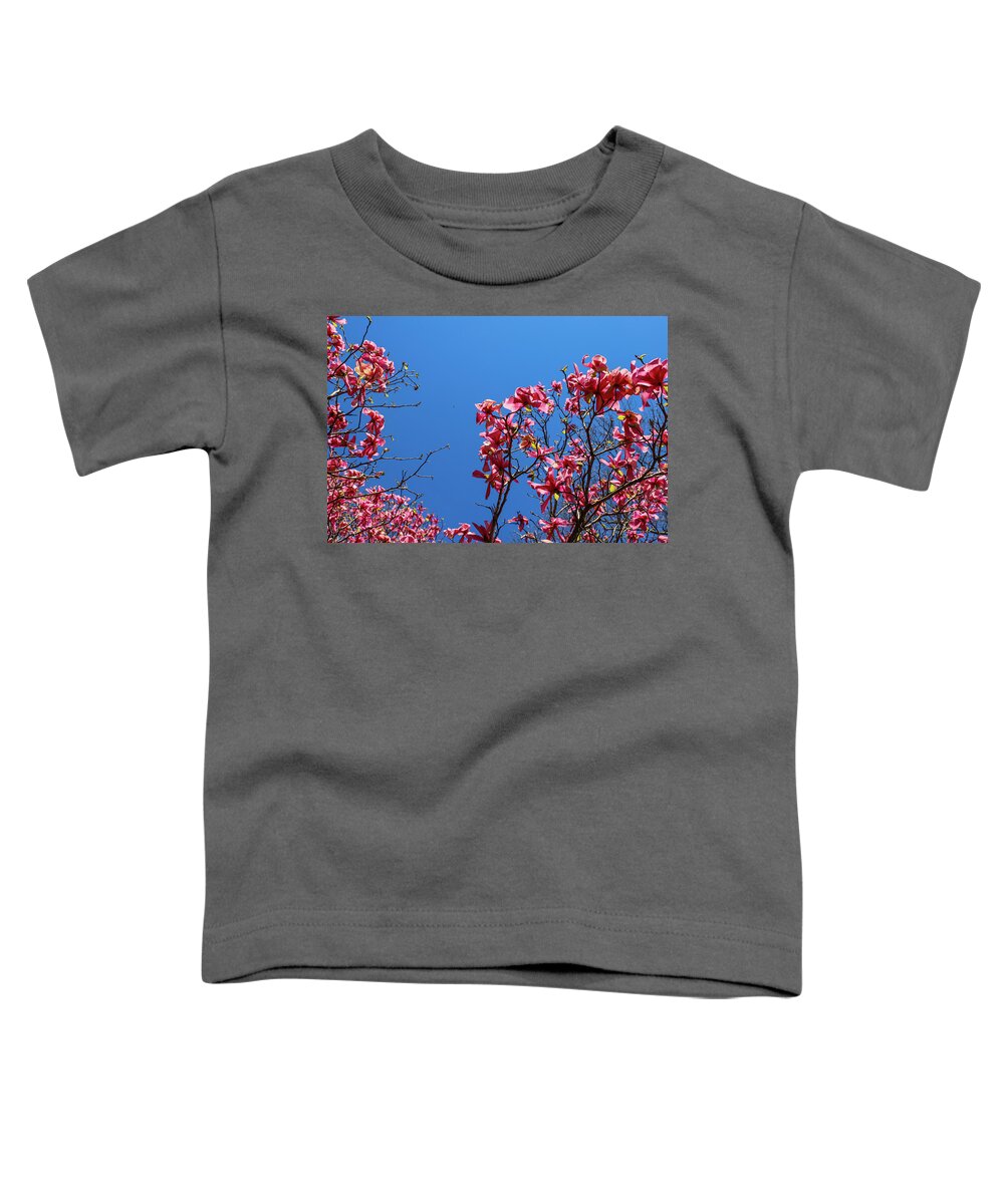 Tree Toddler T-Shirt featuring the photograph Pink Trees at Smith-Gilbert Botanical Gardens by Marcus Jones