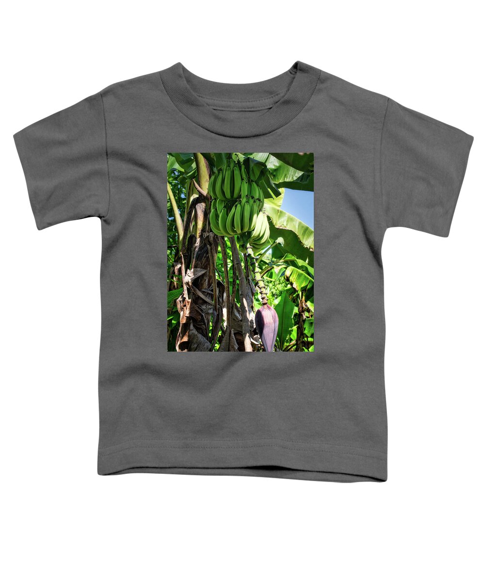 Plantain Toddler T-Shirt featuring the photograph Plantains by Portia Olaughlin