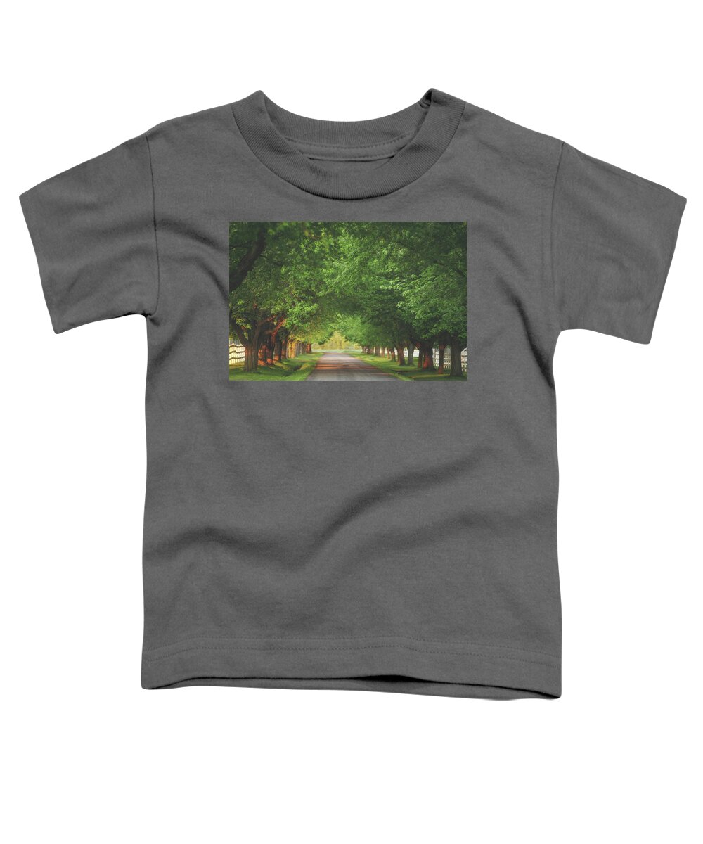 Summer Toddler T-Shirt featuring the photograph Plantation Path by Carrie Ann Grippo-Pike