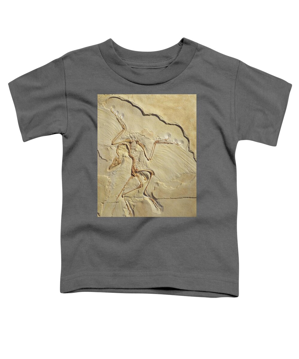 Feathered Dinosaur Toddler T-Shirt featuring the photograph Plumage is not ramage by Karine GADRE