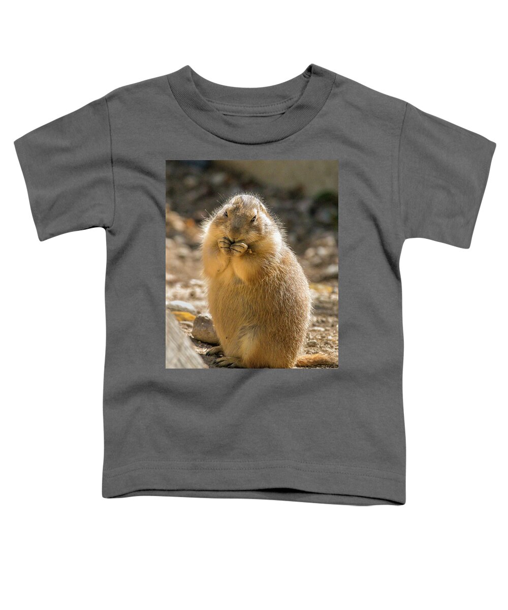 Zoo Boise Toddler T-Shirt featuring the photograph Prairie Dog by Mark Mille